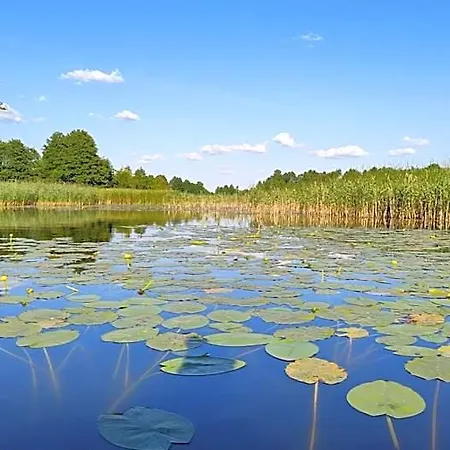 Gizycko-zywki, Masuria Village, Caloroczne Z Widokiem Na Jezioro Отель Круклянки