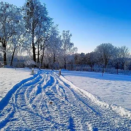 Gizycko-zywki, Masuria Village, Caloroczne Z Widokiem Na Jezioro Отель