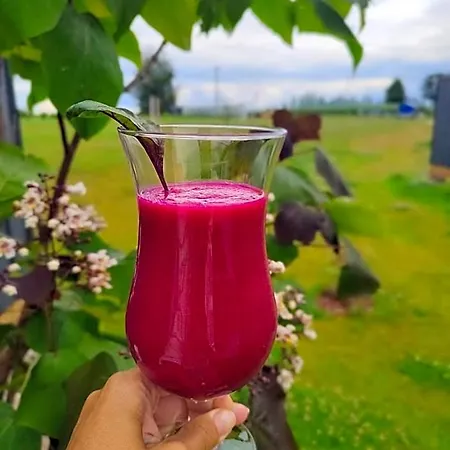 Gizycko-zywki, Masuria Village, Caloroczne Z Widokiem Na Jezioro Круклянки
