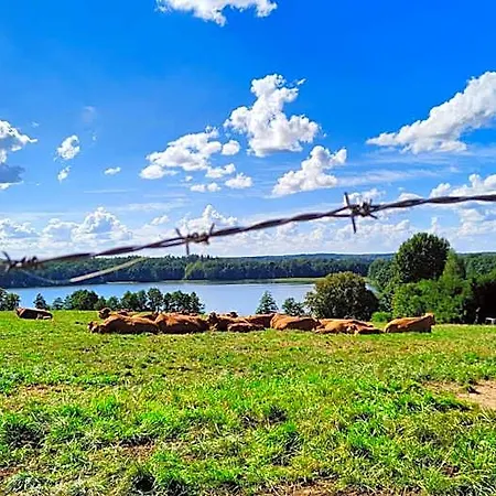 Gizycko-zywki, Masuria Village, Caloroczne Z Widokiem Na Jezioro Отель Круклянки